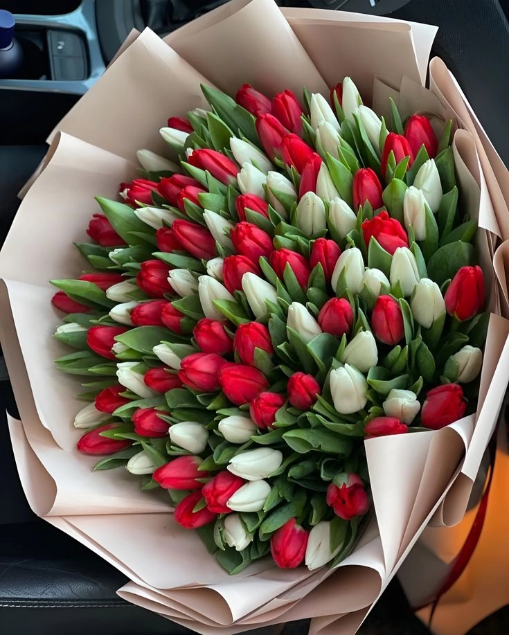 Crimson & Ivory Luxe Tulip Bouquet