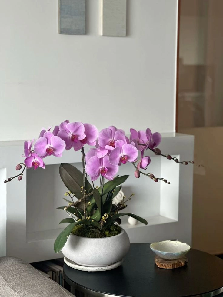 Royal Purple Orchid Arrangement – Amethyst Luxe Collection