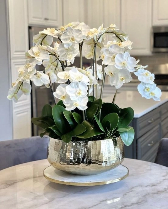 Pure White Table Orchid Arrangement