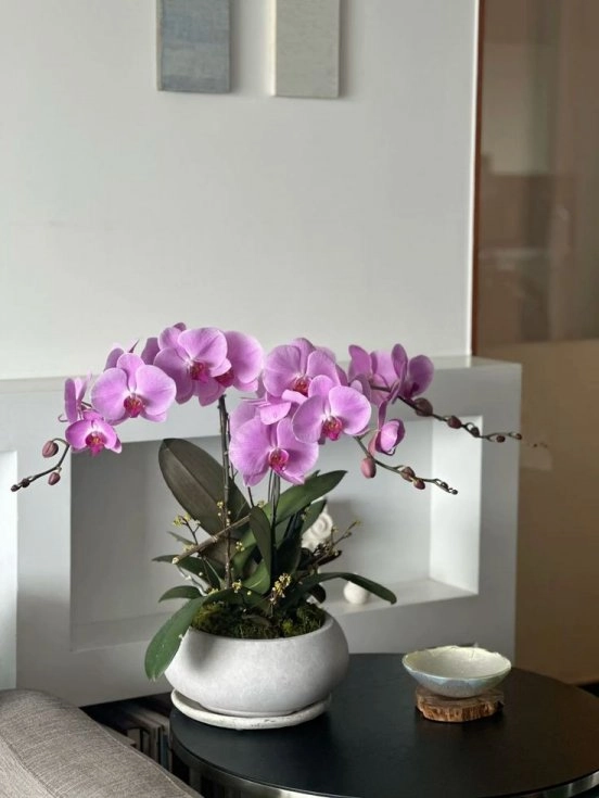 Royal Purple Orchid Arrangement – Amethyst Luxe Collection